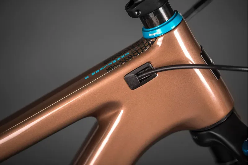 Santa Cruz Chameleon C SE+ 29er Mountain Bike 2019 Bronze/Blue-1