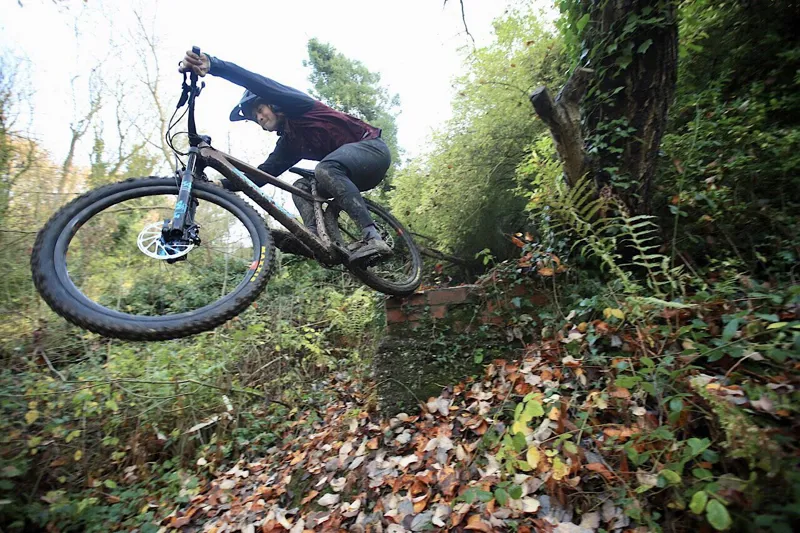 Santa Cruz Chameleon C SE+ 29er Mountain Bike 2019 Bronze/Blue-7