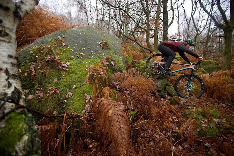 Santa Cruz Chameleon C SE+ 29er Mountain Bike 2019 Bronze/Blue-8