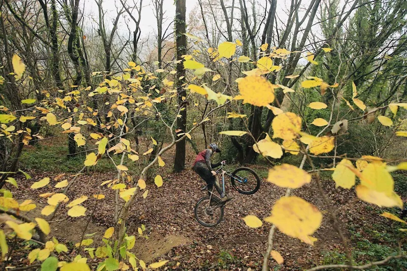 Santa Cruz Chameleon C SE+ 29er Mountain Bike 2019 Bronze/Blue-9