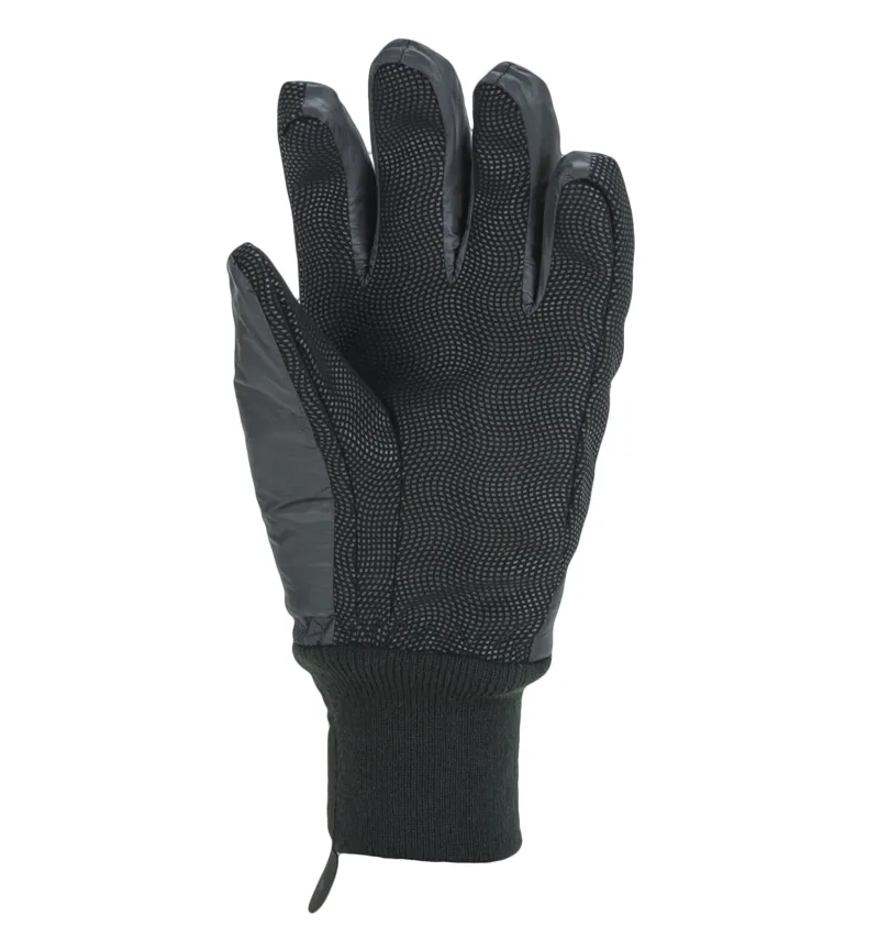 Sealskinz Waterproof All Weather Lightweight Insulated Glove Black-1