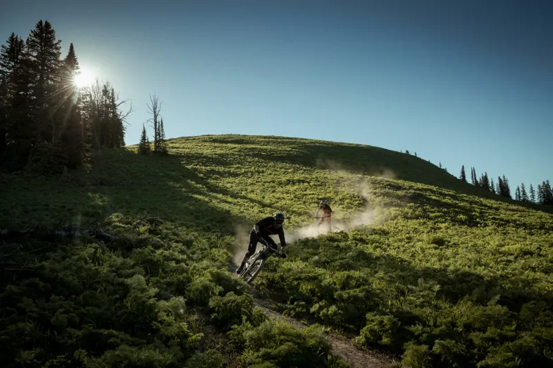 Specialized Enduro Elite Carbon 27.5 Mountain Bike 2017 Black/Blue-4