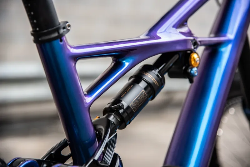 Specialized SWorks Enduro 29er Custom Build Medium 2019 Chameleon-1