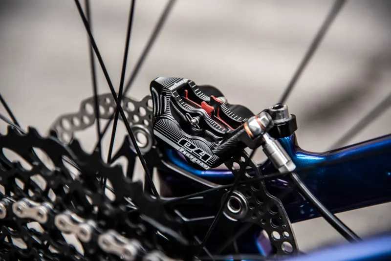 Specialized SWorks Enduro 29er Custom Build Medium 2019 Chameleon-3