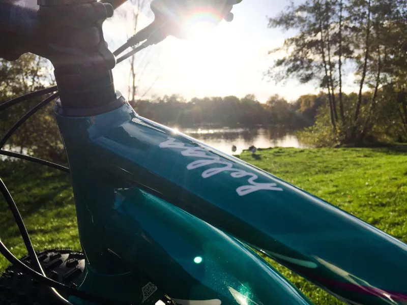 Specialized Hellga Comp Womens Fat Bike 2017 Turquoise/Fuschia-9