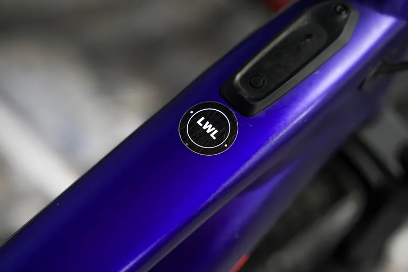 EX DEMO Specialized Levo Comp 29er Womens Large Plum Purple/Acid Lava-11