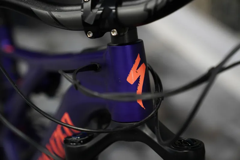 EX DEMO 2019 Specialized Levo Comp Womens 29er Medium Purple/Acid Lava-6