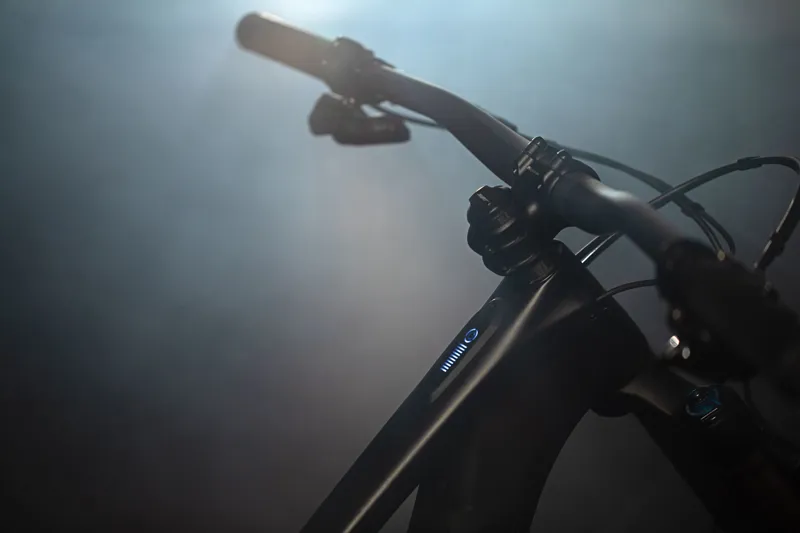 Specialized SWorks Turbo Levo SL Electric Bike 2020 Black/Chrome-2