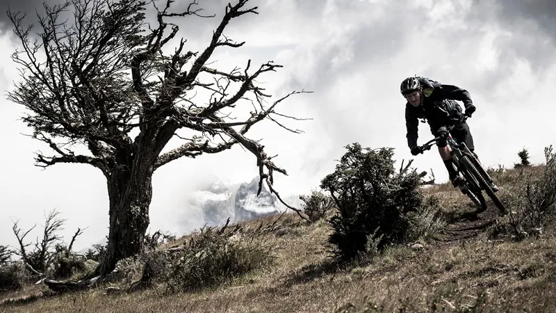 Specialized Stumpjumper Coil Carbon 29er 2018 Purple Tint/Gold-10