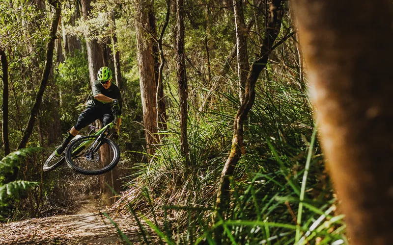 Specialized Stumpjumper Coil Carbon 29er 2018 Purple Tint/Gold-11