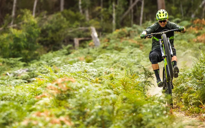 Specialized Stumpjumper Coil Carbon 29er 2018 Purple Tint/Gold-12