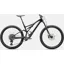 Specialized Stumpjumper Expert Mountain Bike 2024 Gloss Obsidian/Satin Taupe