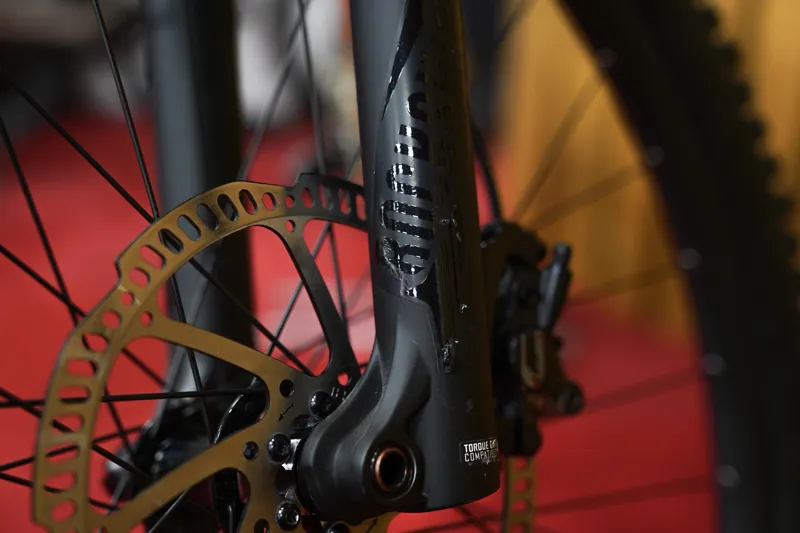 EX DEMO Specialized Stumpjumper ST 29er 2019 XLarge east Sierras/Red-7