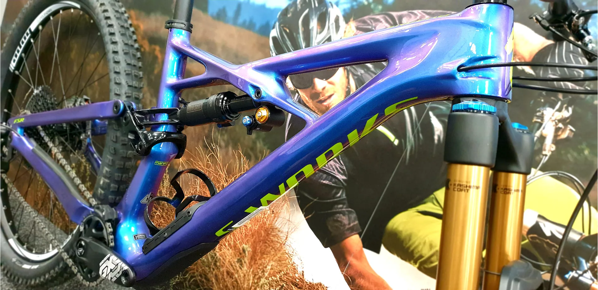 Specialized SWorks Enduro 29er Custom build 2018 Chameleon