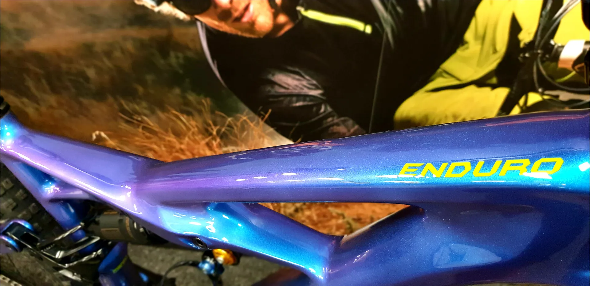 Specialized SWorks Enduro 29er Custom build 2018 Chameleon