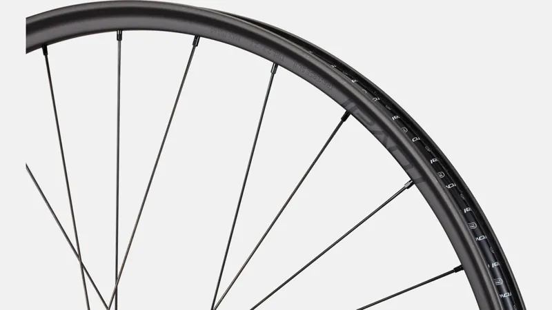 Specialized Traverse SL II 29er DT350 Front Wheel 6-Bolt 28H Carbon/Black-1