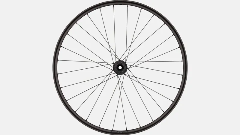 Specialized Traverse SL II 29er DT350 Front Wheel 6-Bolt 28H Carbon/Black-5