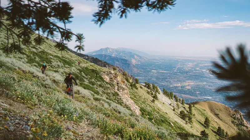 Specialized Turbo Levo FSR Expert 29er Mountain Bike 2019 Carbon/Green-1