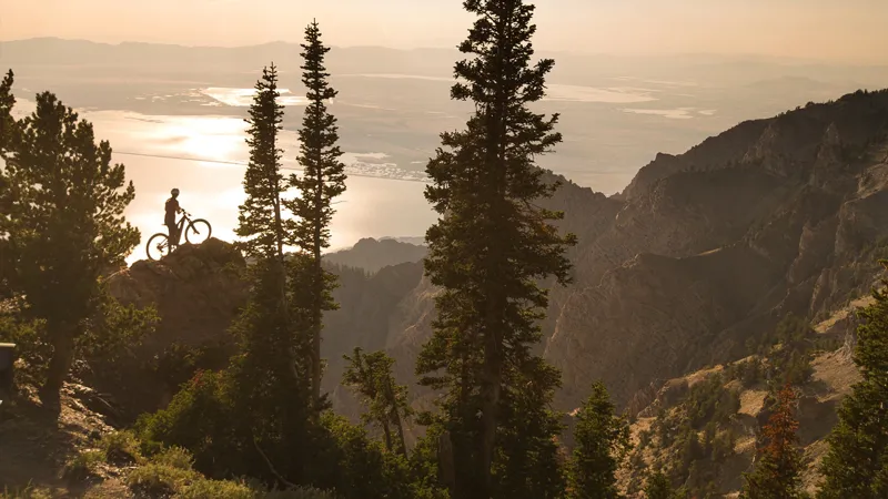 Specialized Turbo Levo FSR Expert 29er Mountain Bike 2019 Carbon/Green-2