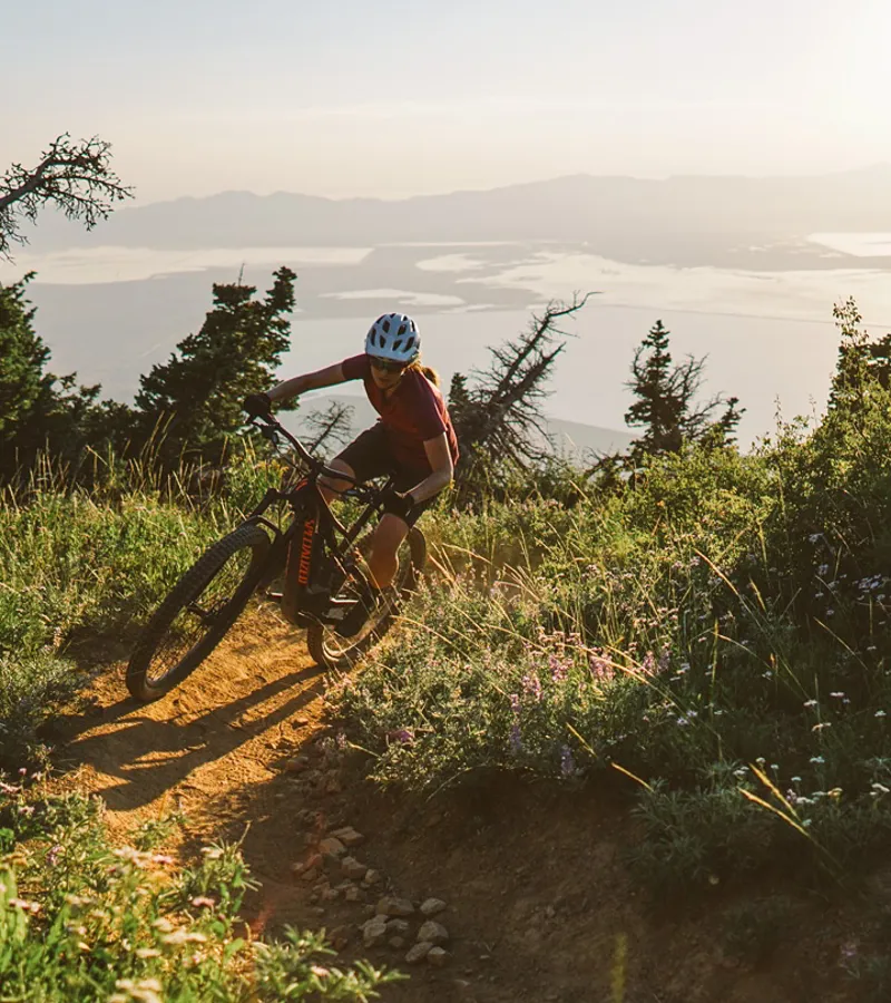 Specialized Turbo Levo FSR Expert 29er Mountain Bike 2019 Carbon/Green-7