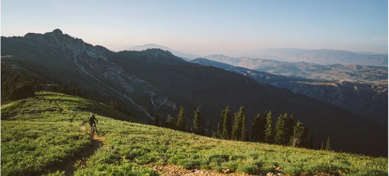 Specialized Turbo Levo FSR Expert 29er Mountain Bike 2019 Carbon/Green-8