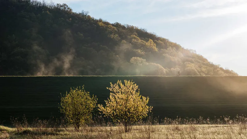 Trek Domane SL 6 Disc Road Bike 2017 Black/White-9