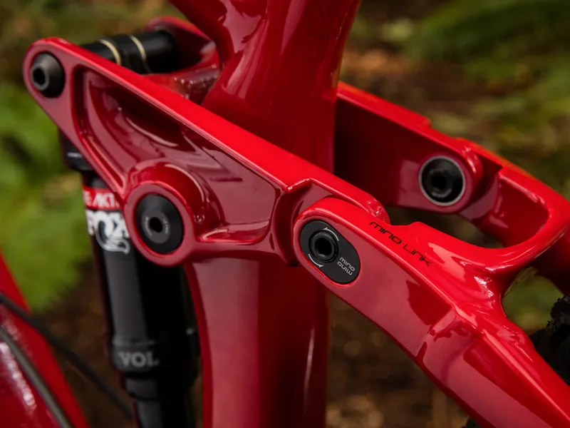 Trek Fuel EX 8 29er Mountain Bike 2019 Cardinal-5