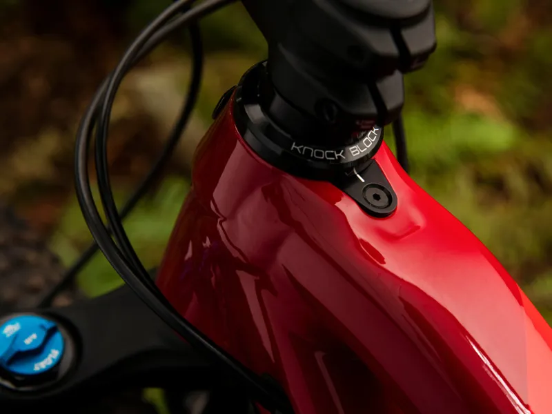 Trek Fuel EX 8 29er Mountain Bike 2019 Cardinal-7