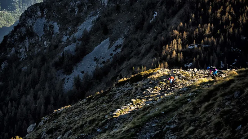 Trek Powerfly 7 Electric Bike 2017 Trek Black/Waterloo Blue-2