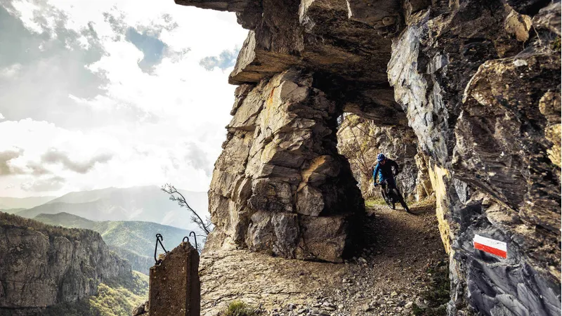 Trek Powerfly 7 Electric Bike 2017 Trek Black/Waterloo Blue-6