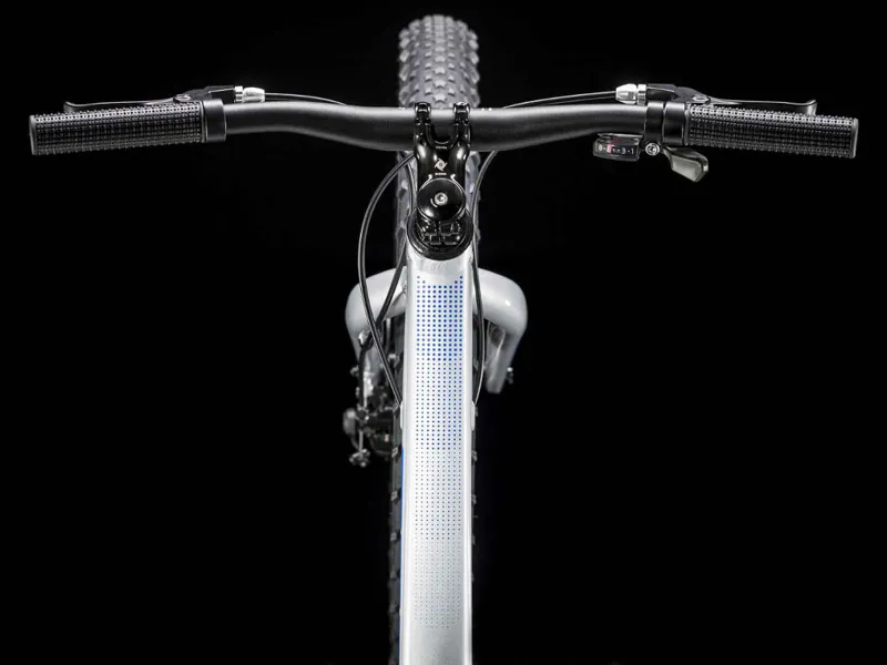 Trek Roscoe 24 Kids Mountain Bike 2019 Quicksilver/Royal-3