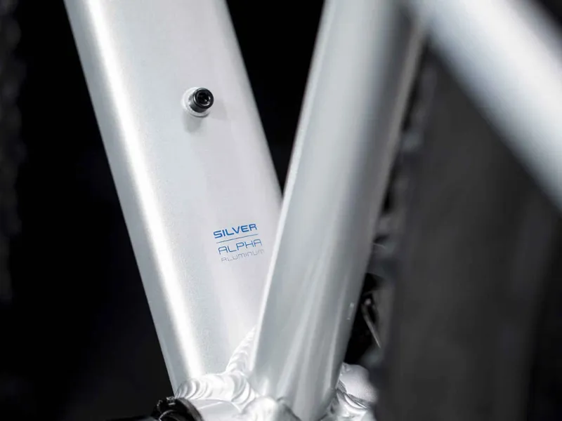 Trek Roscoe 24 Kids Mountain Bike 2019 Quicksilver/Royal-6