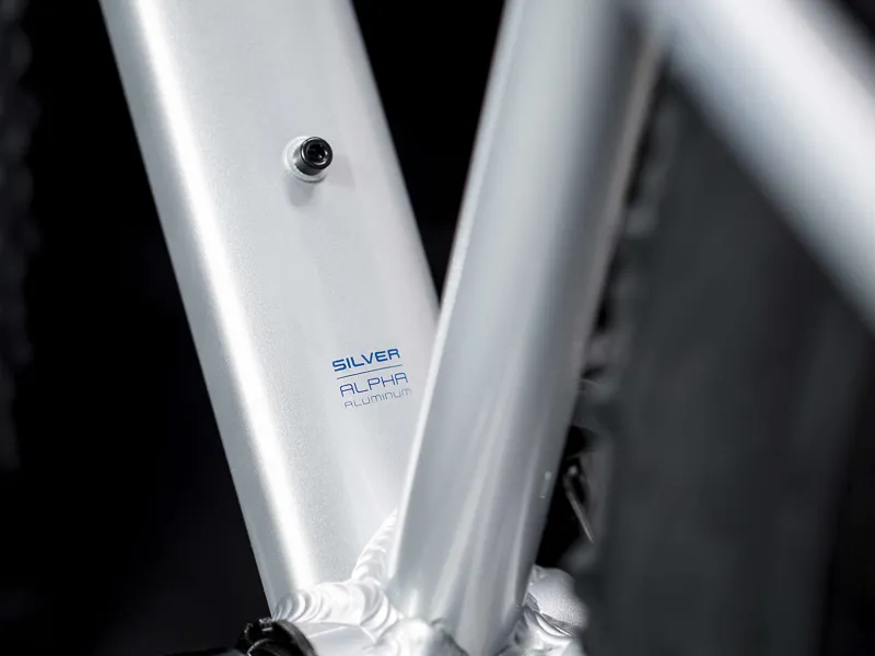 Trek Roscoe 24 Kids Mountain Bike 2020 Quicksilver/Royal-5