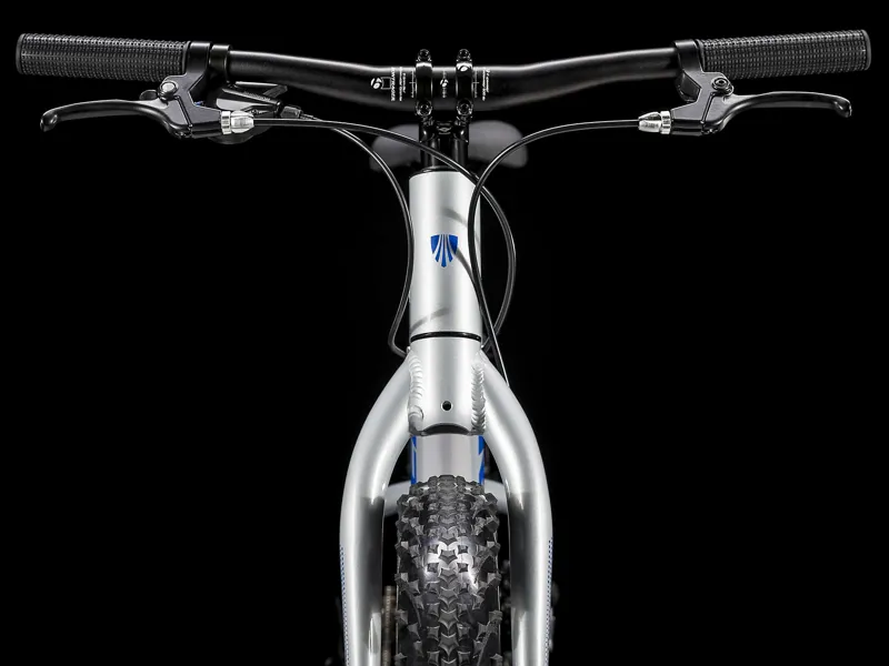 Trek Roscoe 24 Kids Mountain Bike 2020 Quicksilver/Royal-3