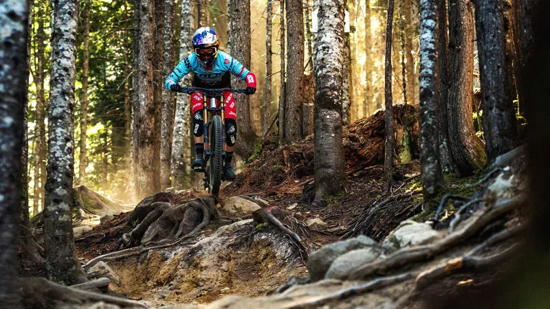 Trek Session 9.9 DH 27.5 Mountain Bike 2016 Viper Red/White-2