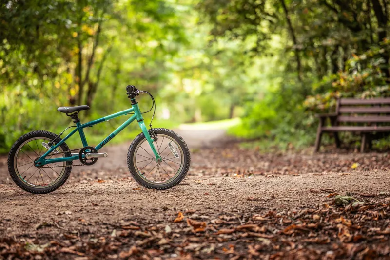 Wild Bikes Wild 16 Inch Kids Bike Green-4