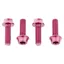 Wolf Tooth Water Bottle Cage Bolts 4 Pack Pink