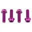 Wolf Tooth Water Bottle Cage Bolts 4 Pack Purple