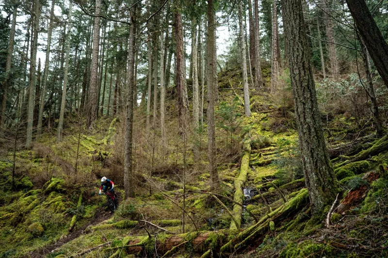 Yeti SB100 Beti TURQ Frame 2019 Coral-4