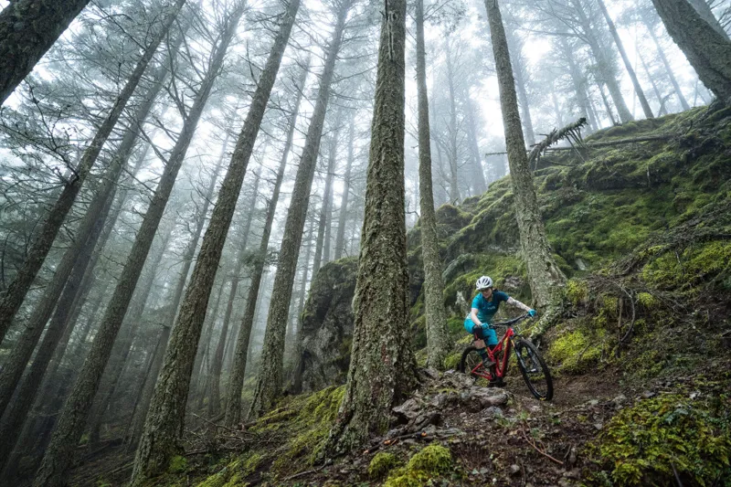 Yeti SB100 Beti TURQ Frame 2019 Coral-5