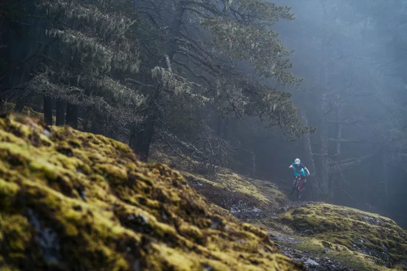 Yeti SB100 Beti TURQ Frame 2019 Coral-9